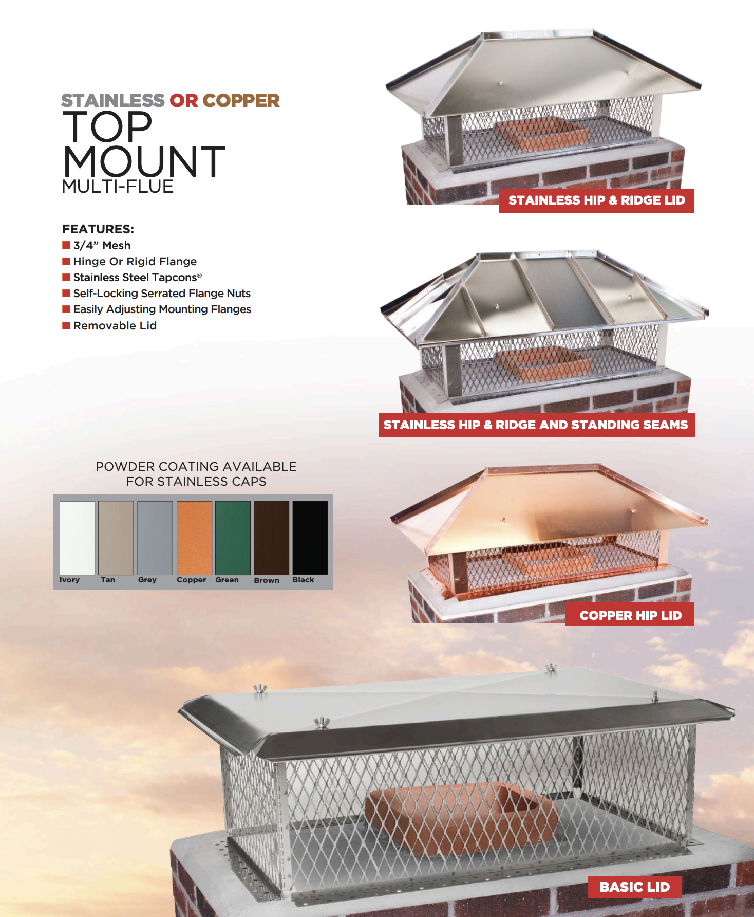 Top mount multi-flue chimney cap options with finishes.